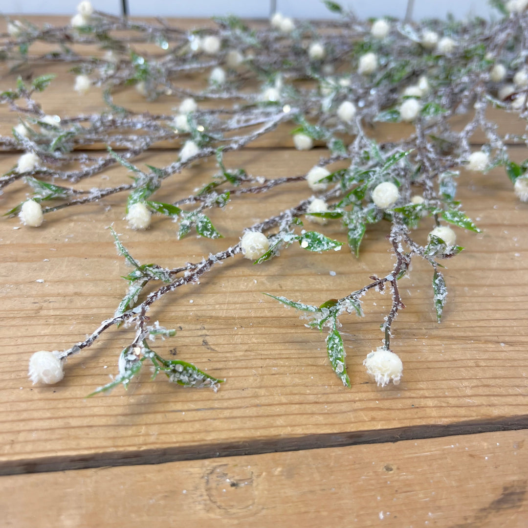 Frosted Cream Berry Vine