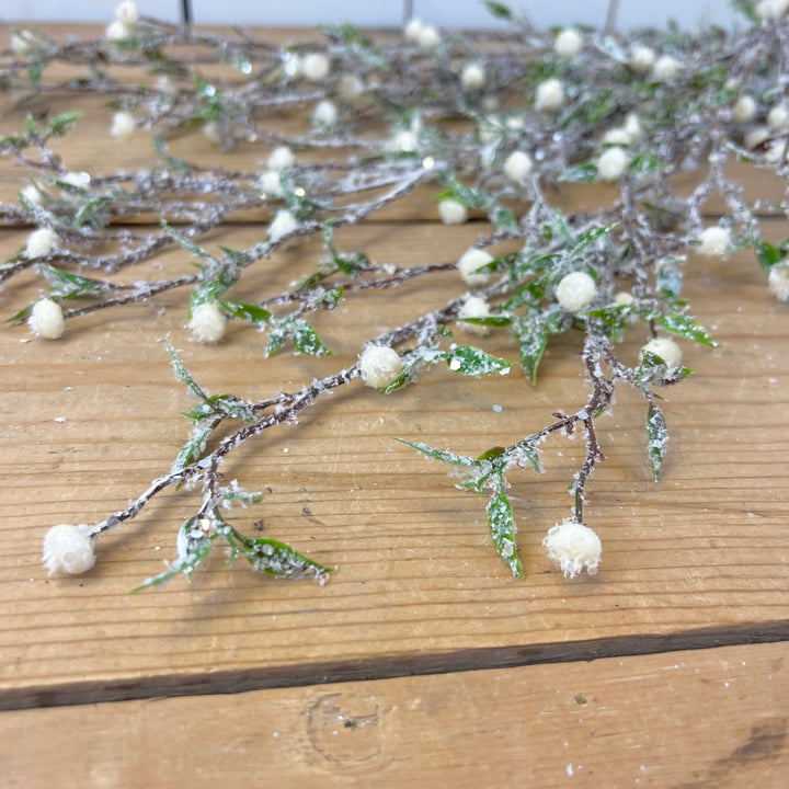 Frosted Cream Berry Vine