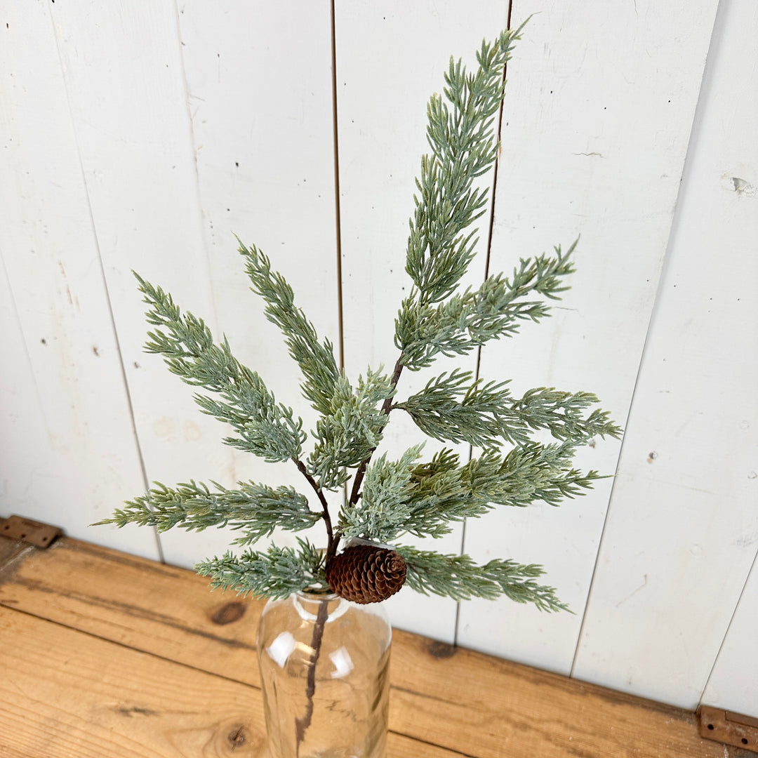 Long Pine Spray