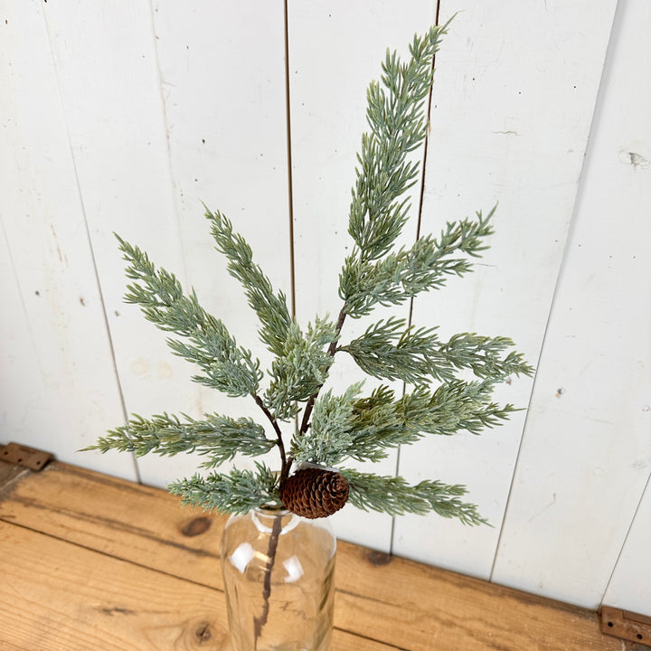 Long Pine Spray