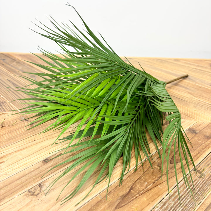 Palm Bush