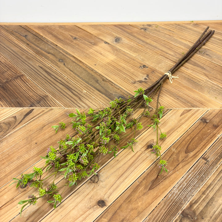 Berry Bundle - 2 Colors