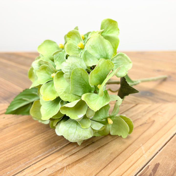 Hydrangea Stems - 3 Colors