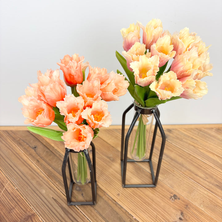 Parrot Tulip Bundle - 2 Colors