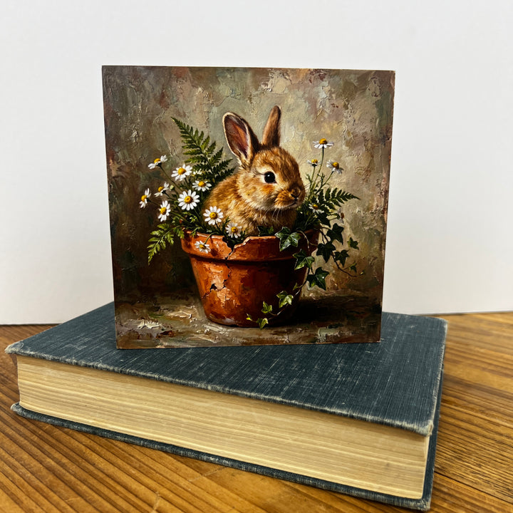 Spring Wooden Blocks