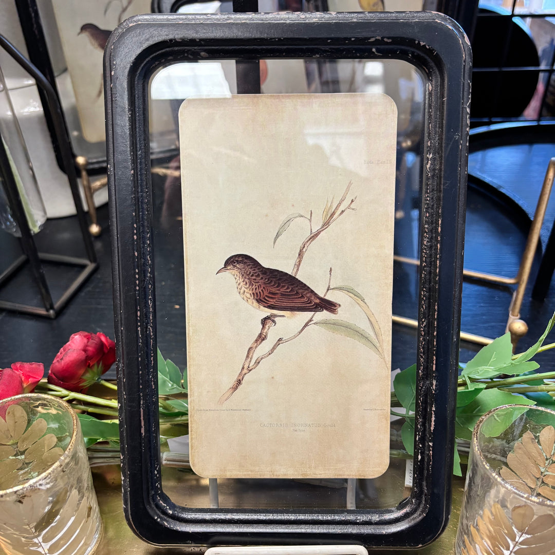 Distressed Wood Framed Bird Wall Decor- 6 Styles