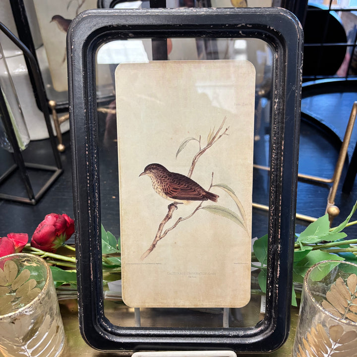 Distressed Wood Framed Bird Wall Decor- 6 Styles