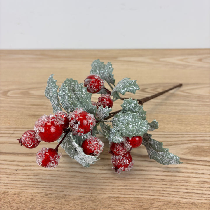 Iced Berry and Leaf Stem