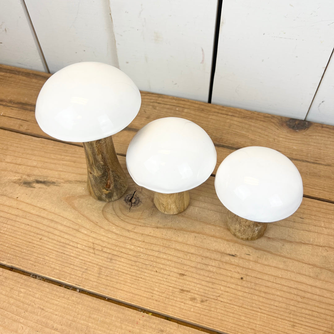 White Mushrooms