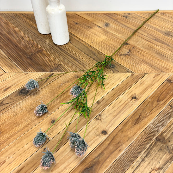 Blue Thistle Stem