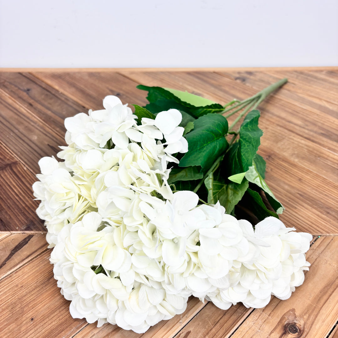 Hydrangea Bush - 3 Colors