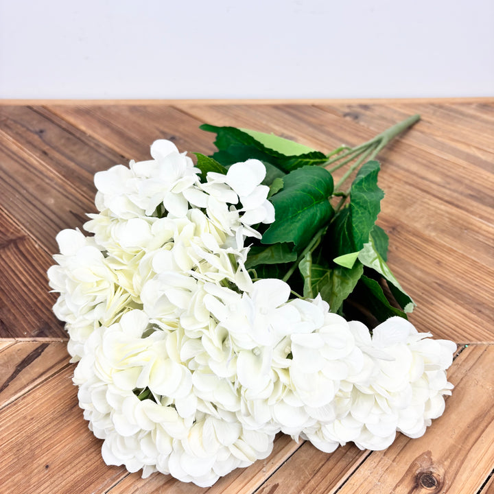 Hydrangea Bush - 3 Colors