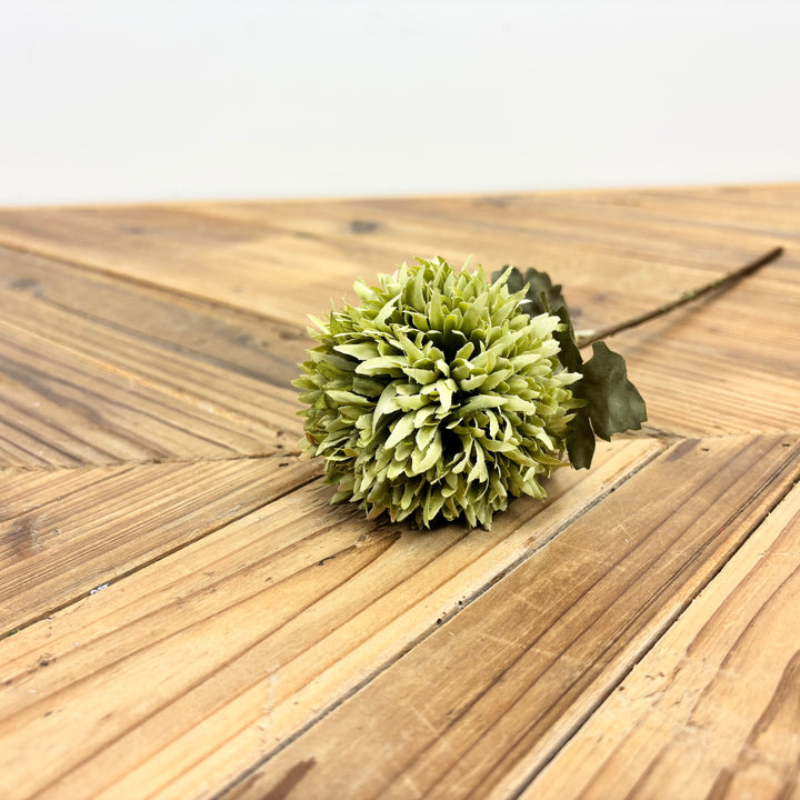 Chrysanthemum Stem - 6 Colors