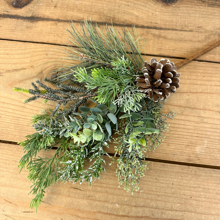 Pine & Eucalyptus Stem