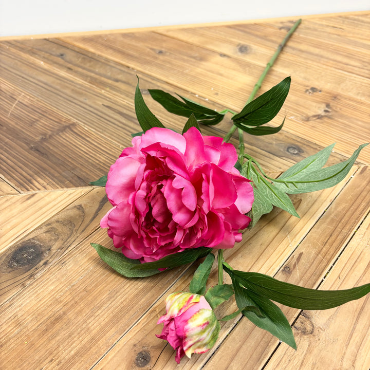 Peony Spray - 3 Colors