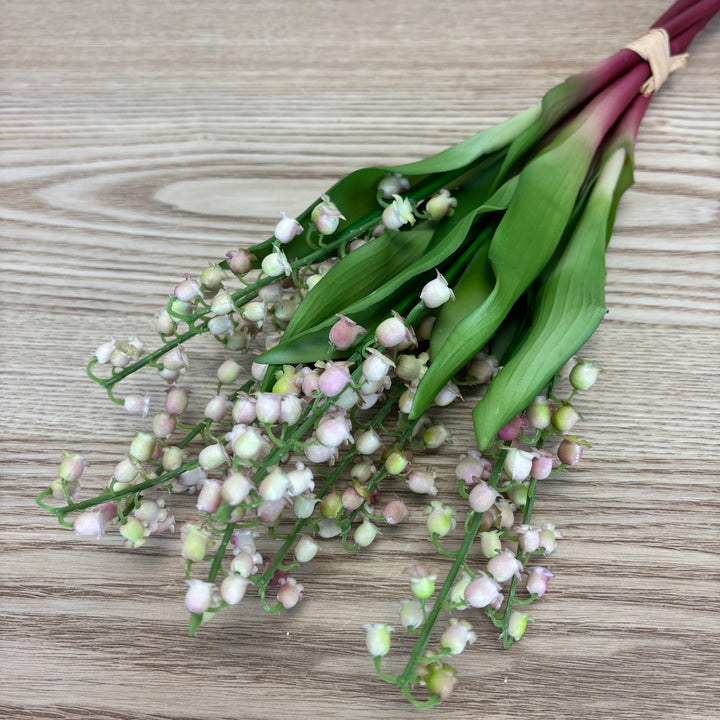 Lily of the Valley Bundle