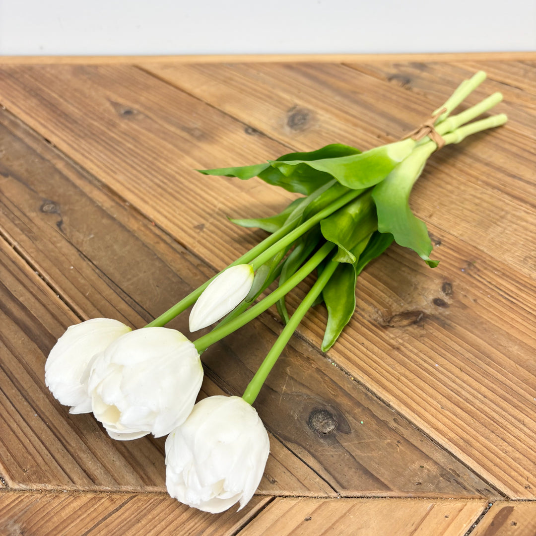 Tulip Bundle - 2 Colors