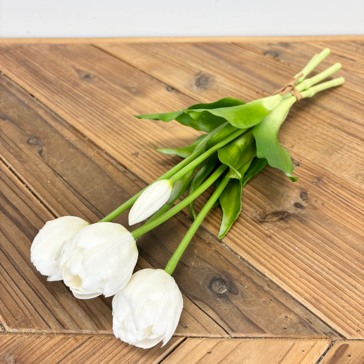 Tulip Bundle - 2 Colors