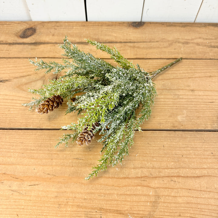 Frosted Arborvitae Stem