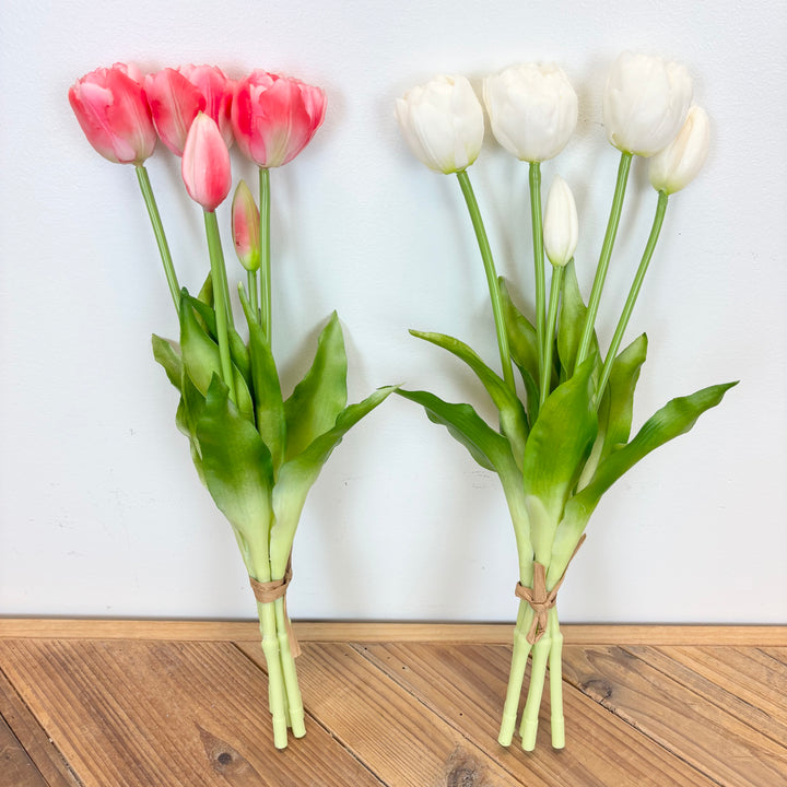 Tulip Bundle - 2 Colors