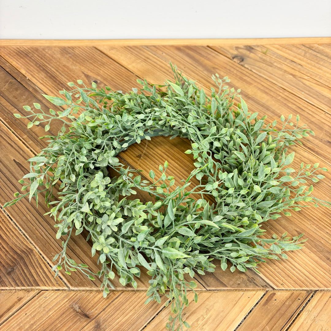 Baby Tears Collection