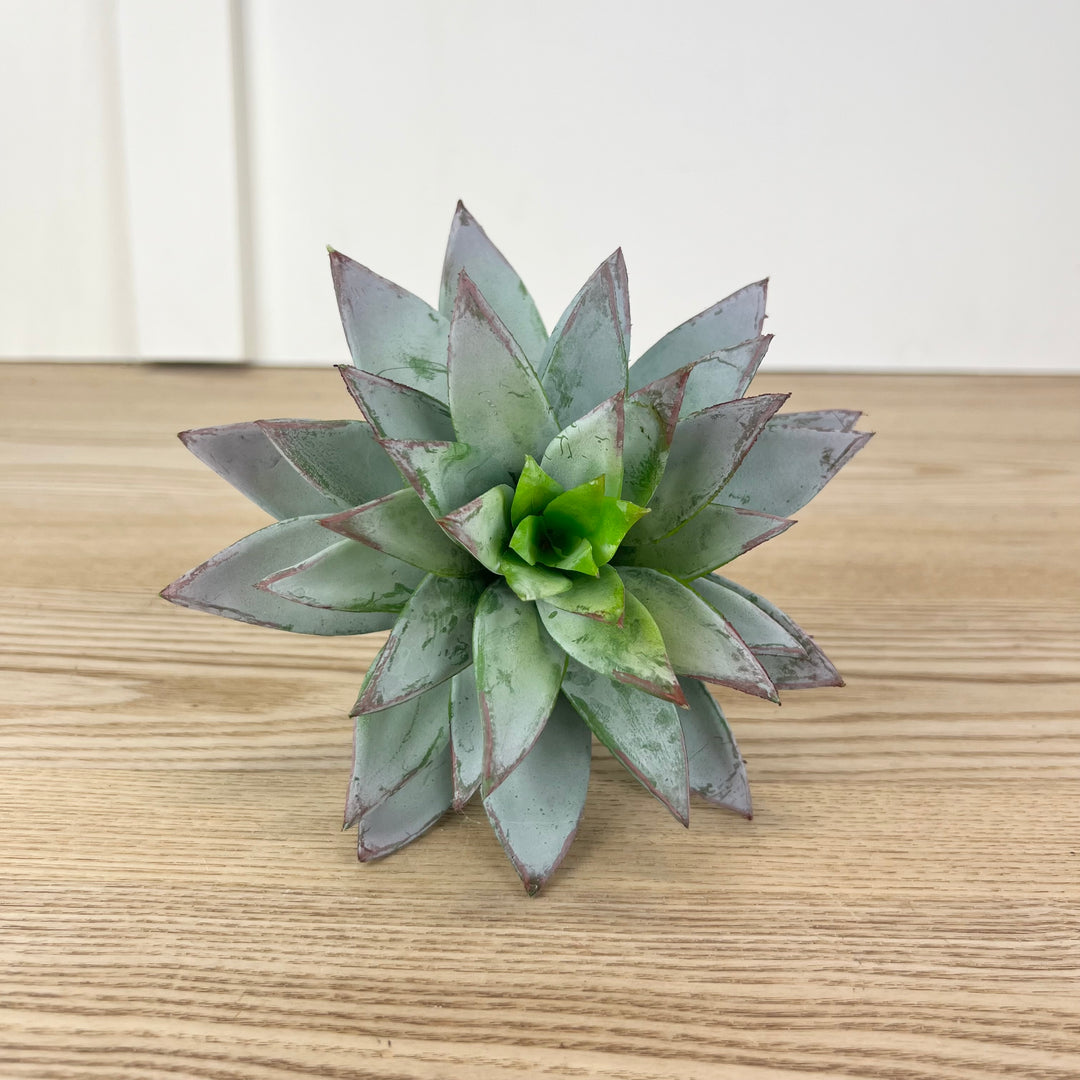 succulent star Star Succulent Pick