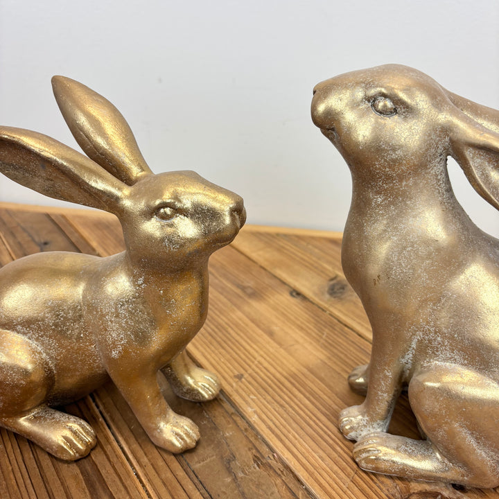 Golden Bunnies - 2 Styles