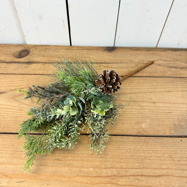 Pine & Eucalyptus Stem