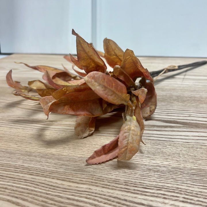 Dried Laurel Leaf Bundles