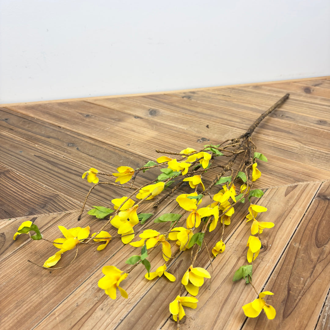 Forsythia Collection