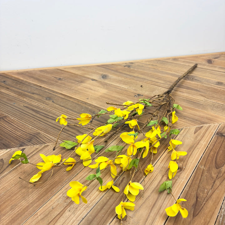 Forsythia Collection