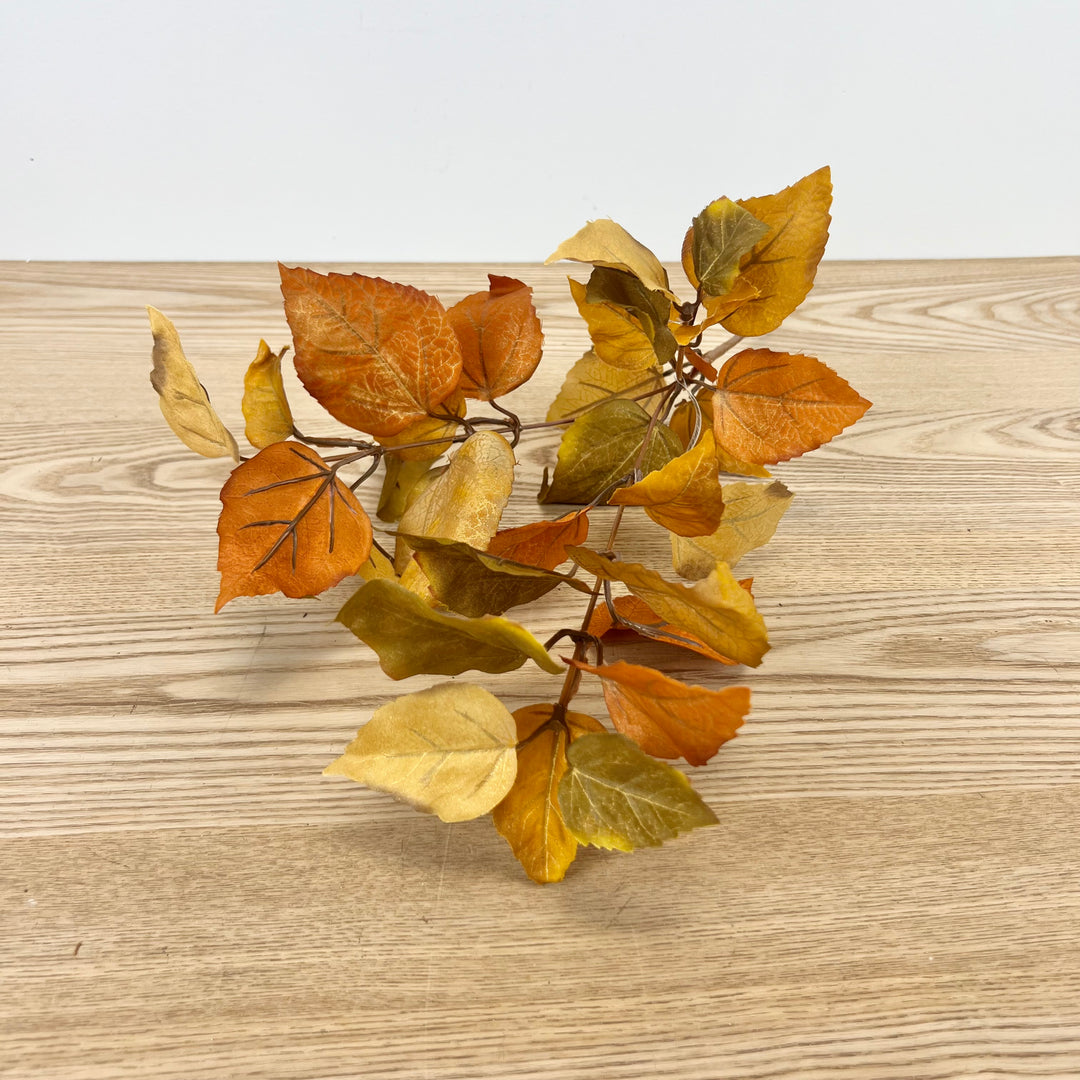 Fall Leaf Stem