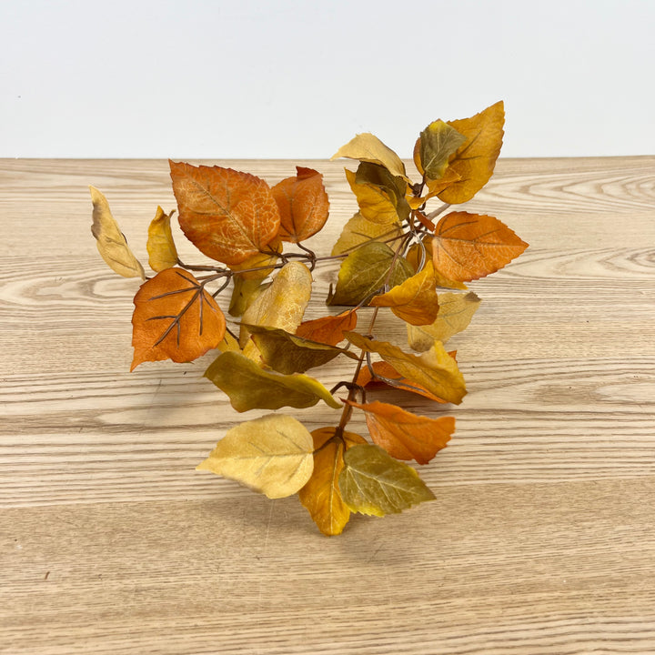 Fall Leaf Stem