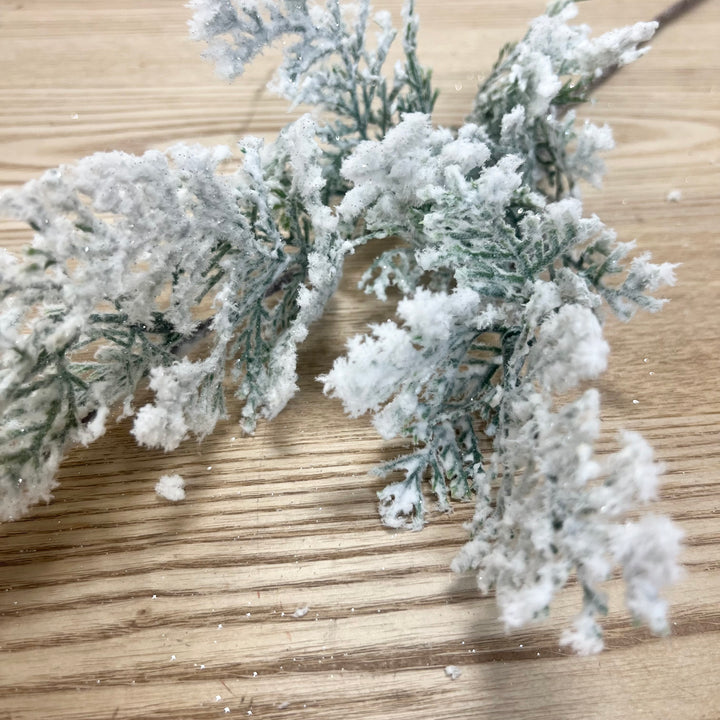 Snowy Cedar Stem