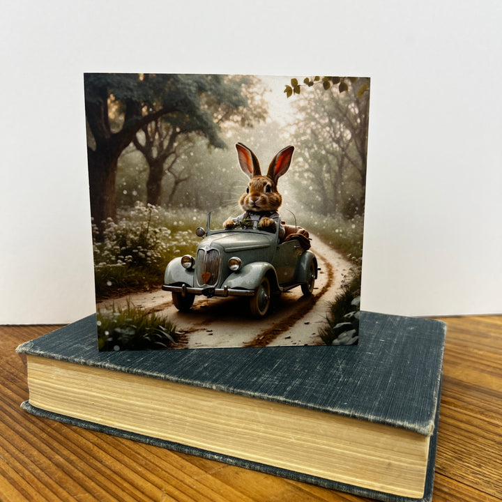 Spring Wooden Blocks