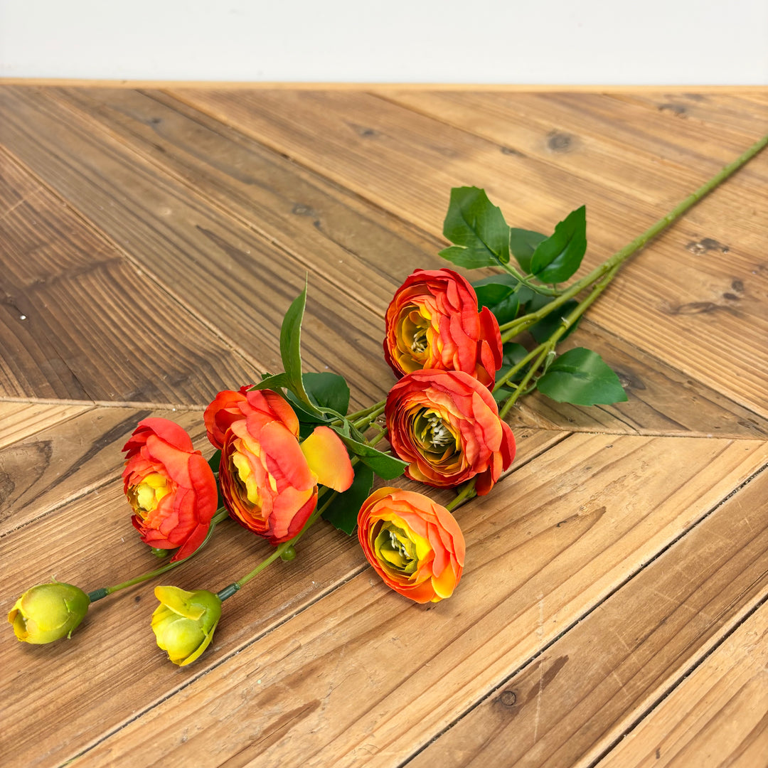 Garden Ranunculus Spray - 6 Colors
