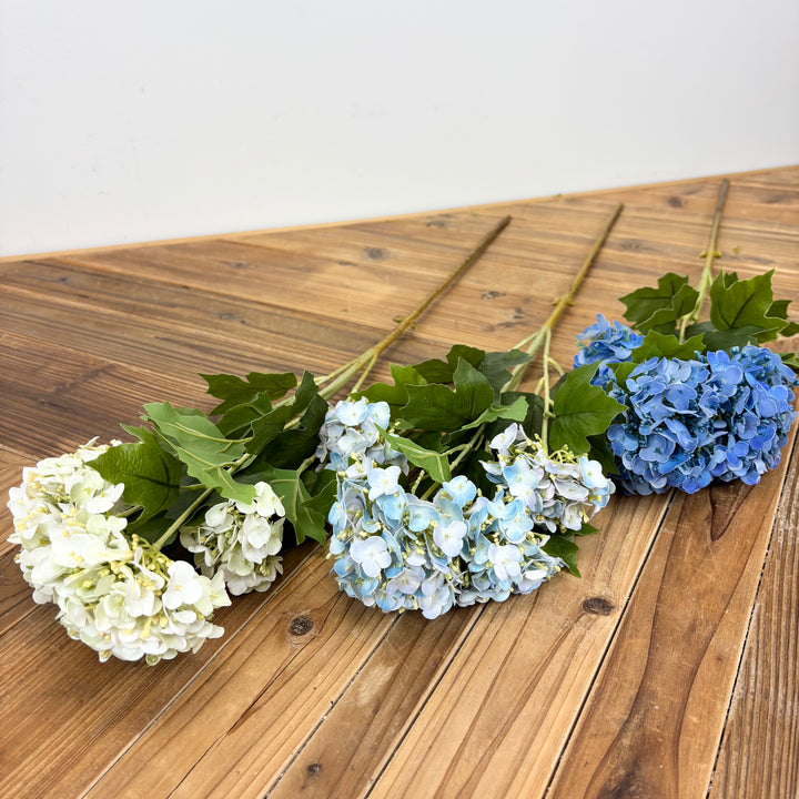 Real Feel Viburnum - 3 Colors