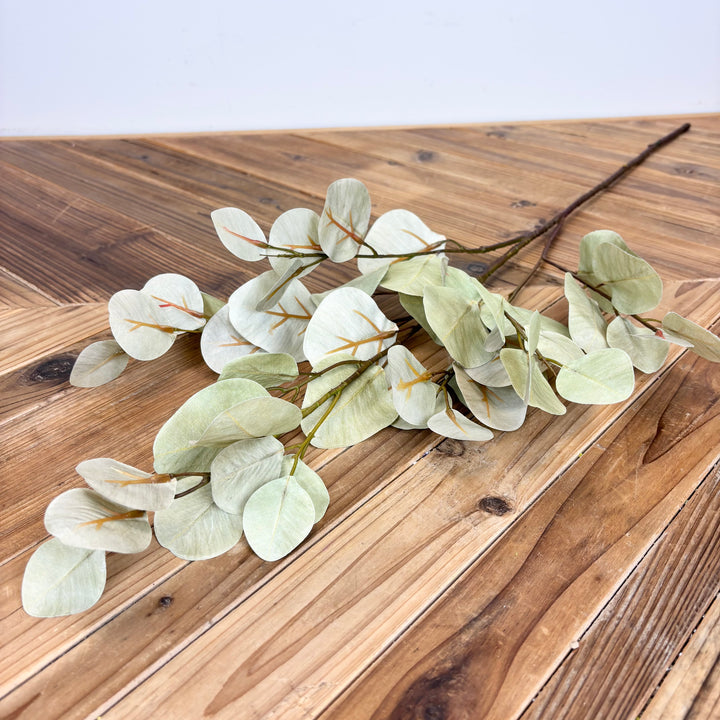 Silver Dollar Eucalyptus Spray - 2 Colors