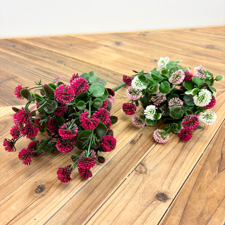 Mini Pom Bush - 2 Colors