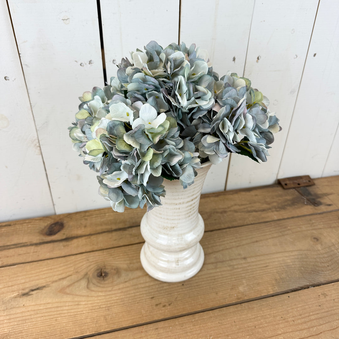 Dried Spring Hydrangea Stems