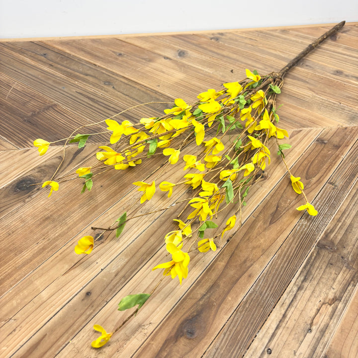 Forsythia Collection