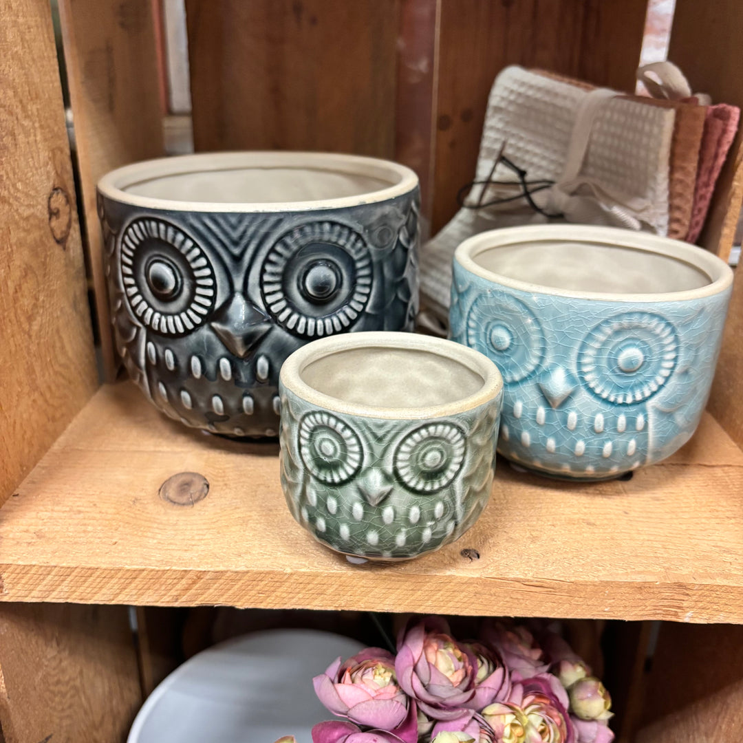Owl Pots