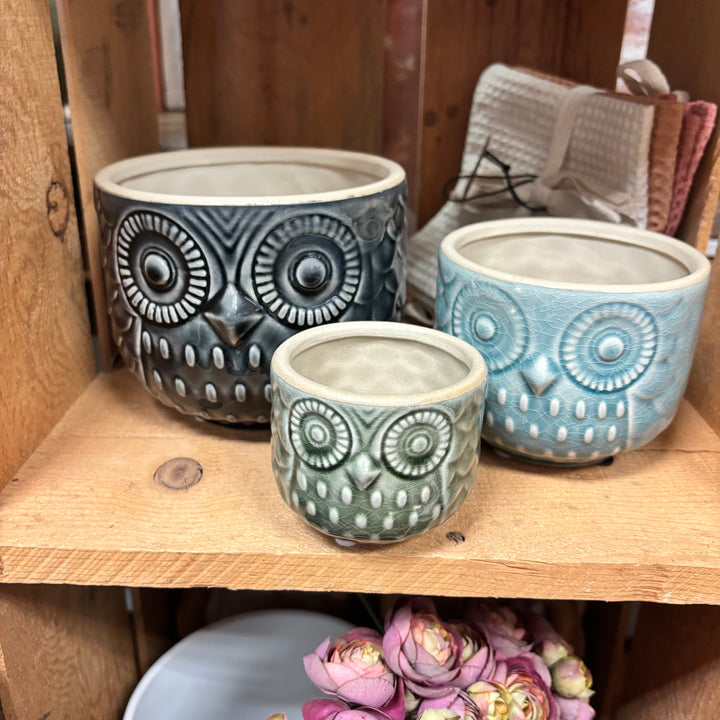 Owl Pots