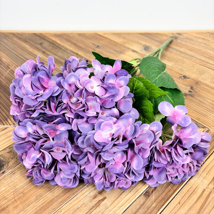 Hydrangea Bush - 3 Colors