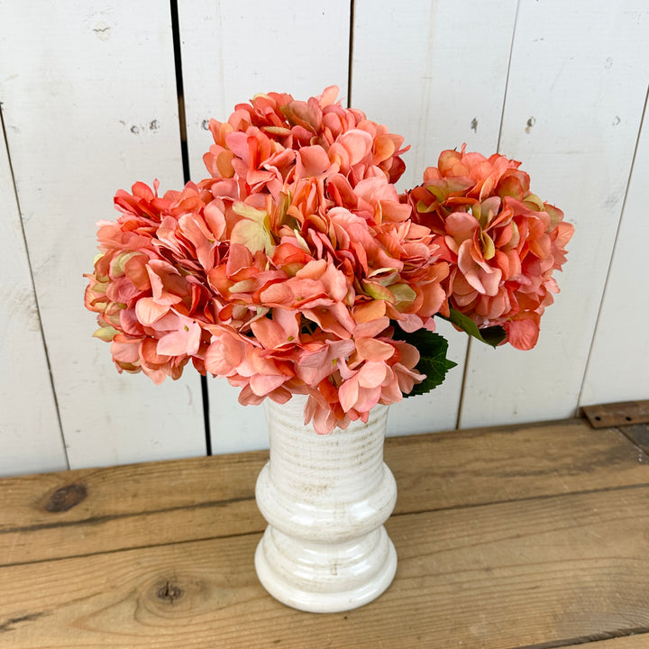 Dried Spring Hydrangea Stems