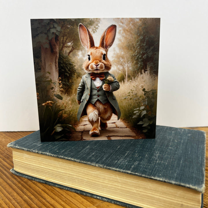 Spring Wooden Blocks