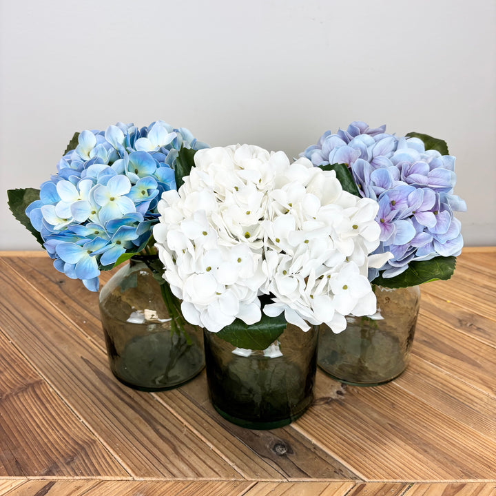 Hydrangea - 3 Colors