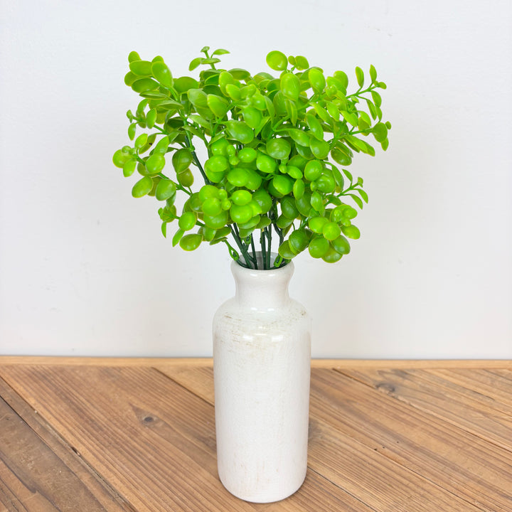 Mini Eucalyptus Leaf Bush