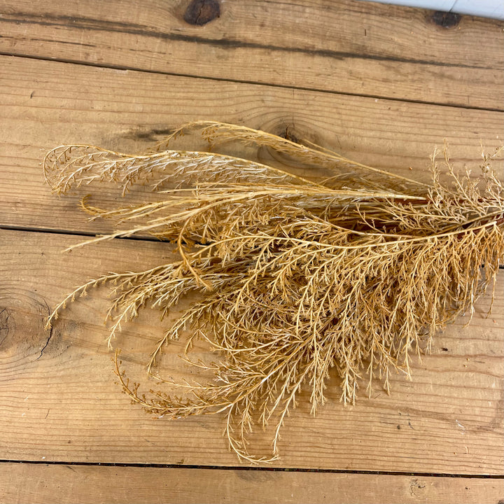 Dried Feather Wheat Bundle