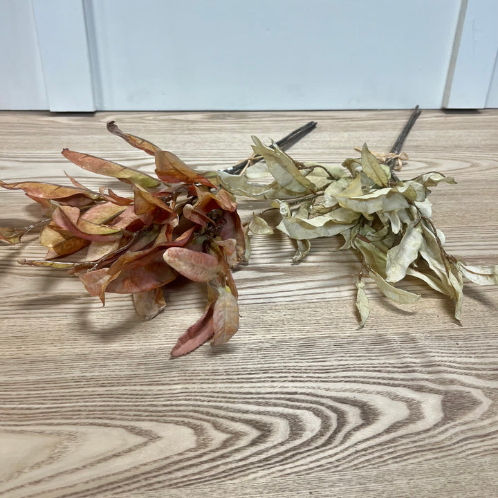 Dried Laurel Leaf Bundles